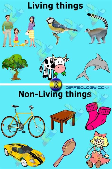non living things to compare yourself to|7 Effective Strategies to Overcome Constant Self.